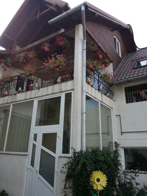 Vila Nely Risnov Exterior photo